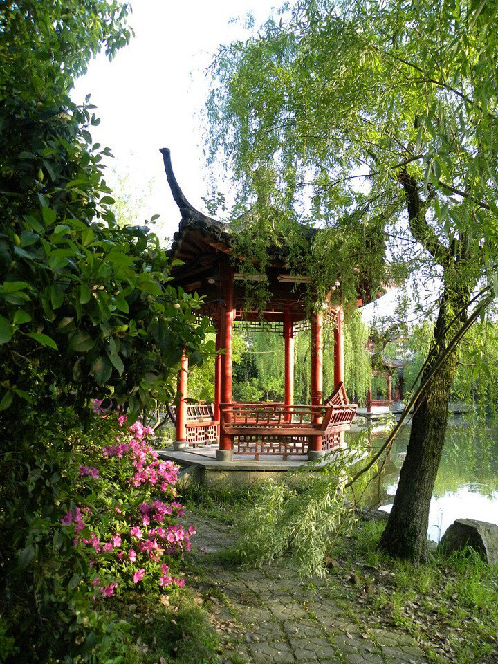 方城县独树五中举办“我为祖国庆华诞”活动_kaiyun网页登录入口(图4) kaiyun开云官方在线登录