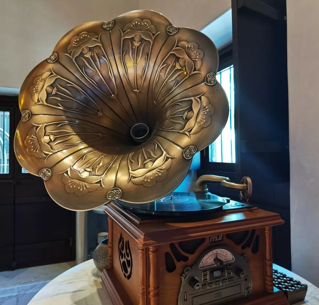 kaiyun开云官方在线登录-补气吃什么好补气食物有这些