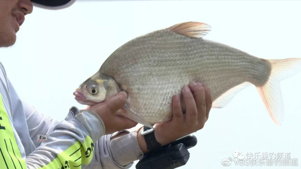 kaiyun开云网页版:灵宝市一小:向新中国成立70周年献礼之“读书分享交流会”(图2) kaiyun网页登录入口