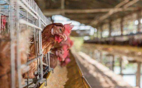 山西惠民医院:春天这样吃,一年都有好肠胃“kaiyun开云官方在线登录”(图2) kaiyun开云网页版