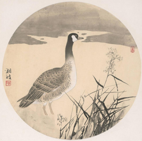 kaiyun网页登录入口