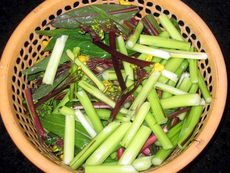 kaiyun开云官方在线登录|家用光疗装置:慢性溃疡患者的福音(图3) kaiyun开云官方在线登录