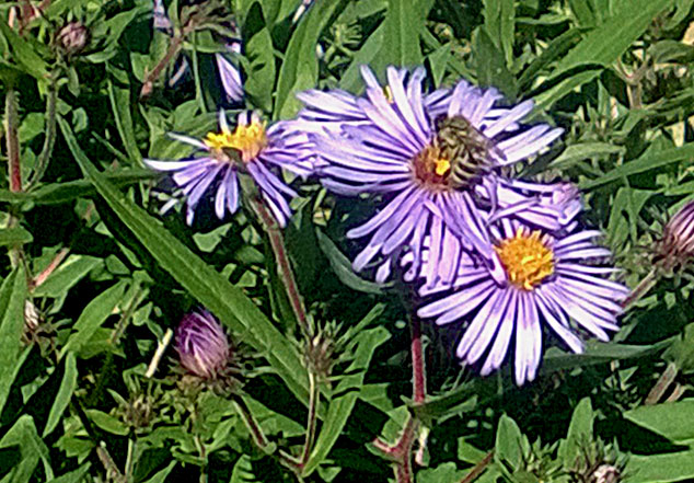 kaiyun开云网页版_除了帮你生孩子 怀孕应用什么都能干