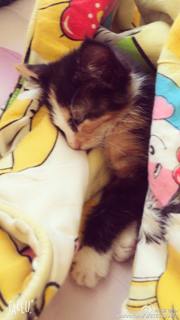 【kaiyun开云网页版】解构LCD、OLED与量子点基本原理(图2) kaiyun网页登录入口