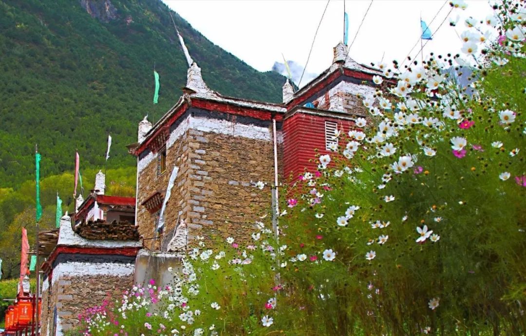 kaiyun开云官方在线登录