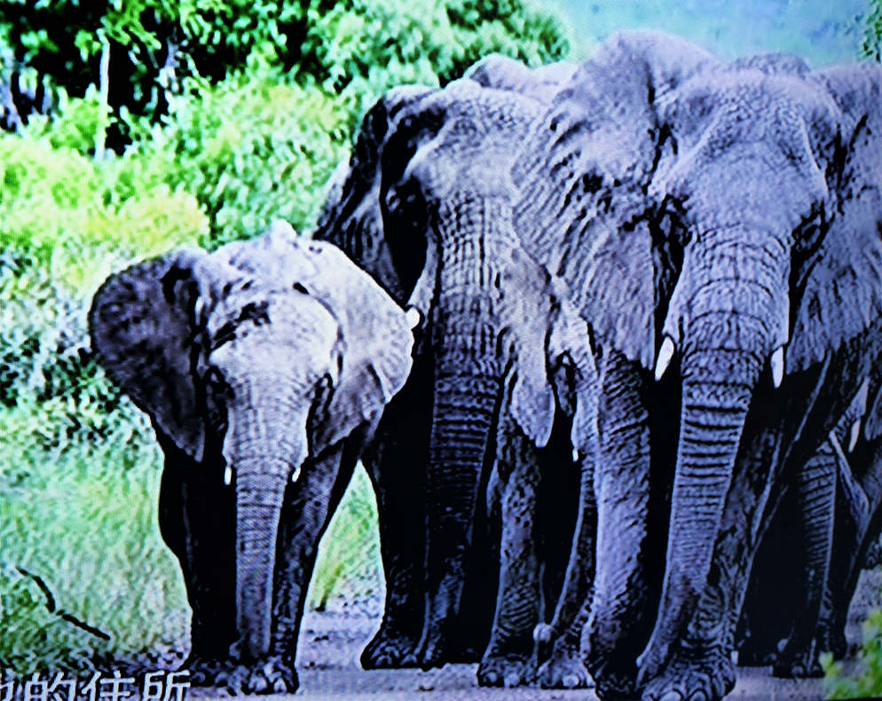 全覆盖一体化!我国查处科研失信行为有了统一规则|kaiyun开云网页版(图3) kaiyun网页登录入口