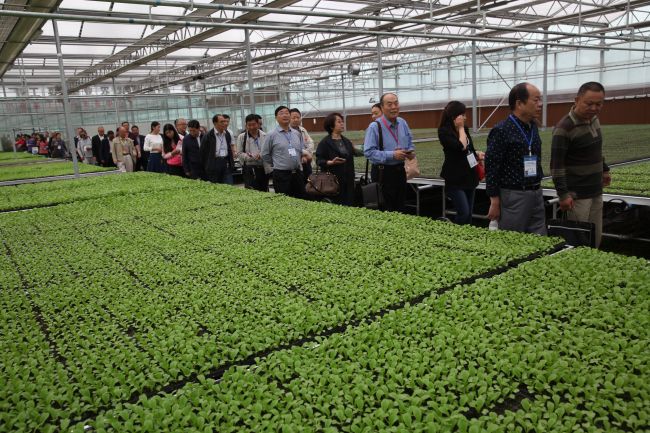 新格与你线上见:kaiyun开云网页版(图2) kaiyun开云网页版