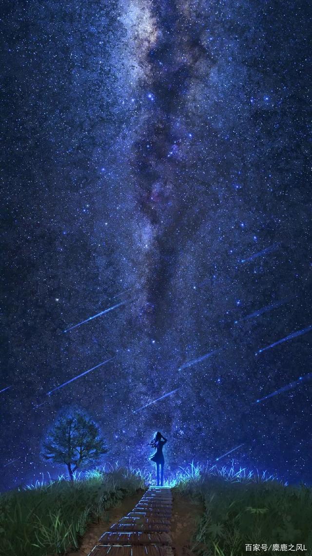 2016深圳宝安中学食宿学费-深圳小升初“kaiyun开云官方在线登录”