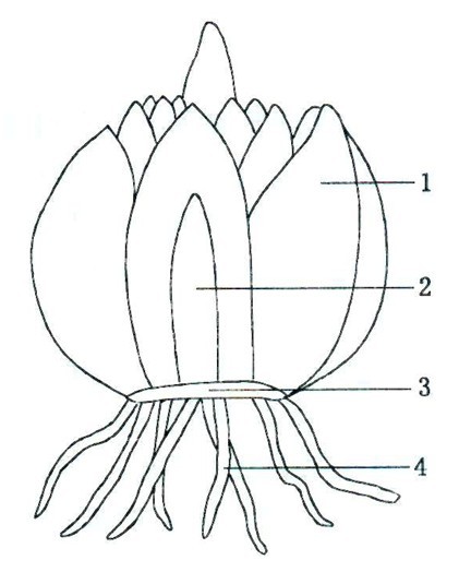 kaiyun网页登录入口