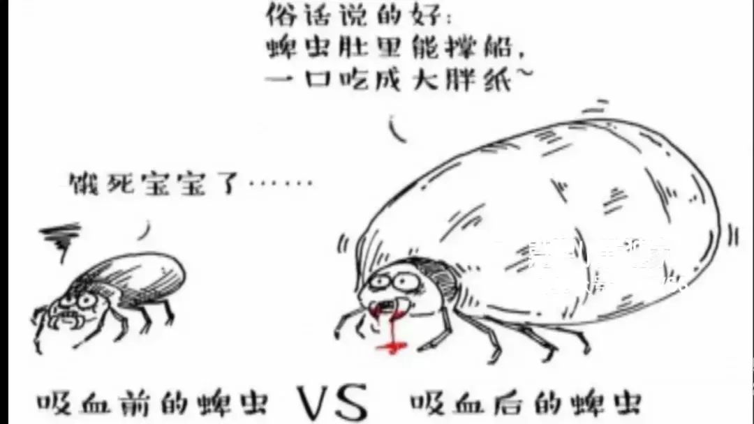 前列腺炎影响性能力前列腺炎怎么预防好?：kaiyun开云网页版