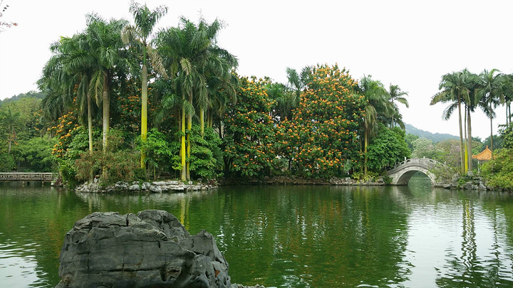 新研究观测到病毒“组装”过程：kaiyun网页登录入口