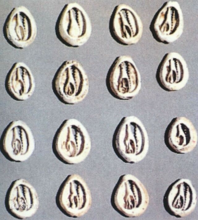 kaiyun开云官方在线登录