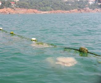 kaiyun开云网页版