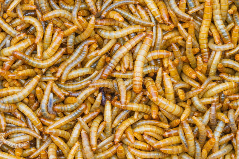 kaiyun网页登录入口