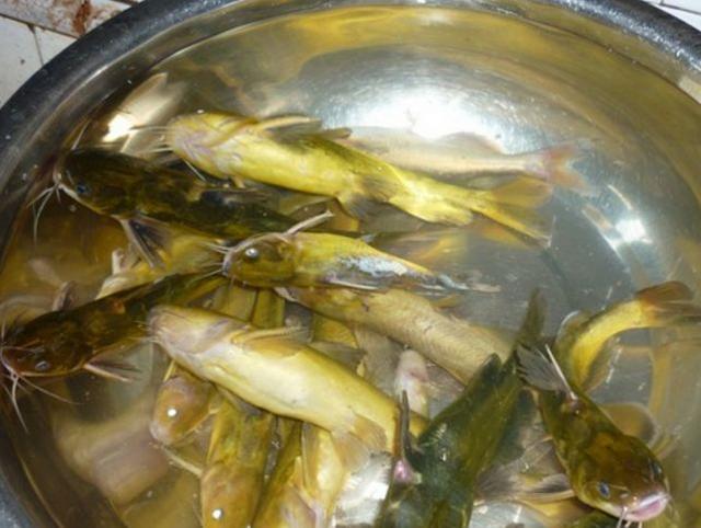 kaiyun开云官方在线登录