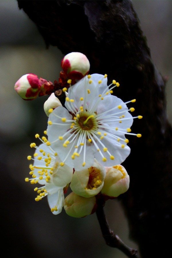 kaiyun开云网页版