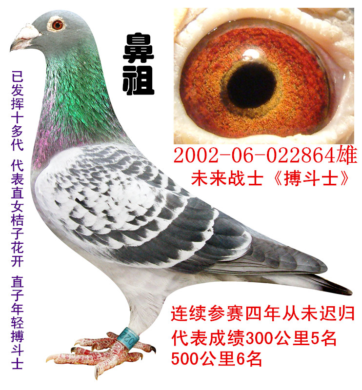 kaiyun开云网页版：艾滋抗体新方法！合成DNA：克服耐药性