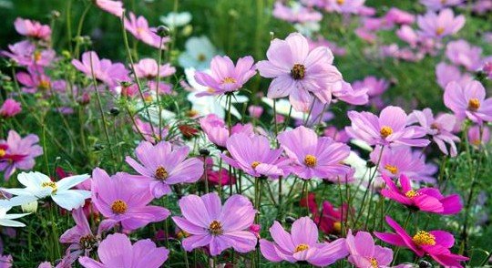 kaiyun网页登录入口