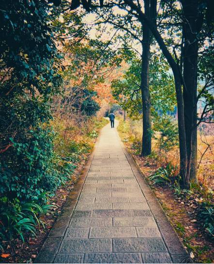 儿童白癜风要怎么治疗‘kaiyun开云官方在线登录’(图2) kaiyun网页登录入口