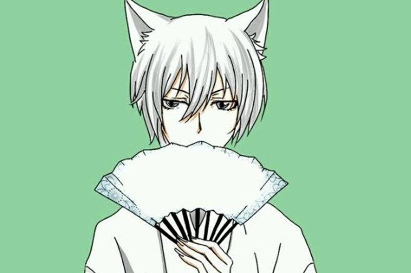 kaiyun网页登录入口