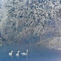 ‘kaiyun网页登录入口’江苏：完善就近入园保障制度，2020年基本实现“两教一保”