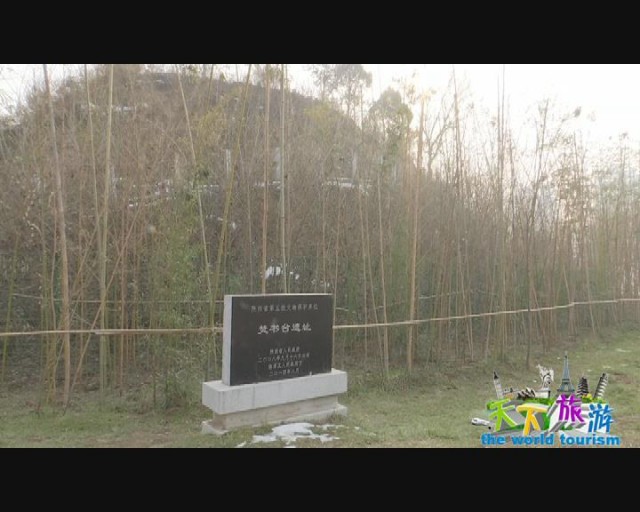 kaiyun网页登录入口|新东方泡泡幼小衔接怎么样？