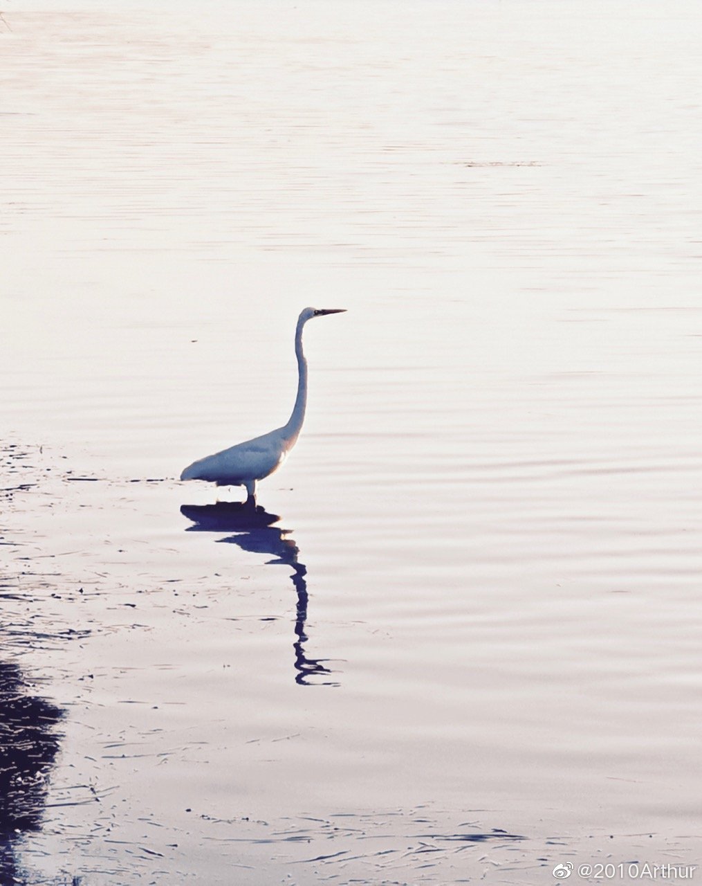 合肥研究院在2.79μm高重复频率高峰值功率调Q激光器研究中取得进展“kaiyun网页登录入口”