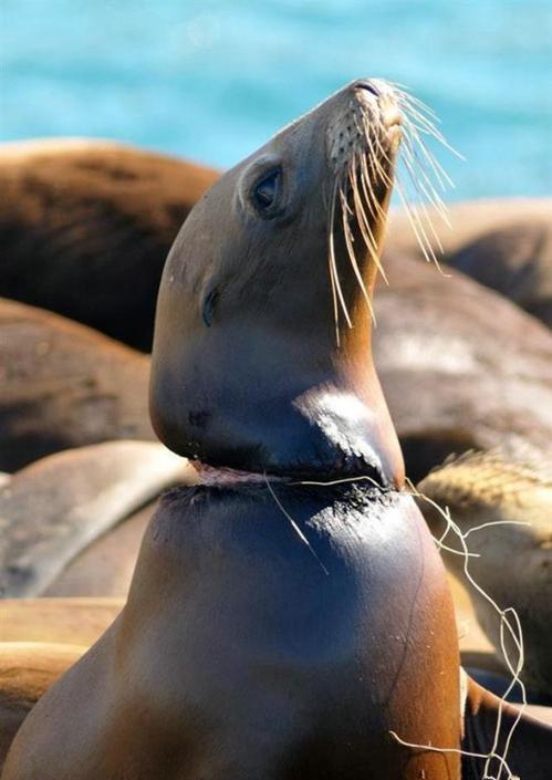 重组后的总体业务流程【kaiyun开云网页版】