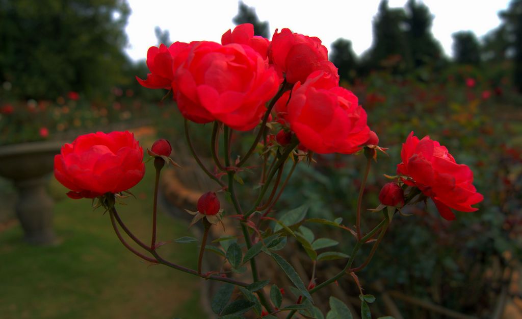 kaiyun开云网页版