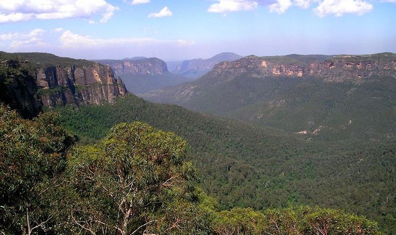 kaiyun开云网页版_Watson AI服务将面向竞争对手开放,IBM动机与底气何在?(图3) kaiyun开云网页版