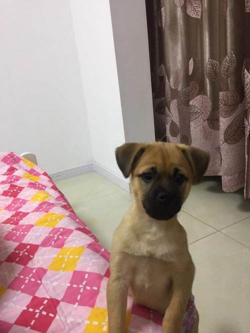 kaiyun网页登录入口